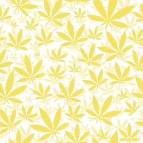 Bigger Scale Marijuana Cannabis Leaves Buttercup Yellow on White