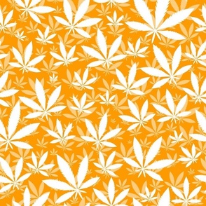 Bigger Scale Marijuana Cannabis Leaves White on Marigold