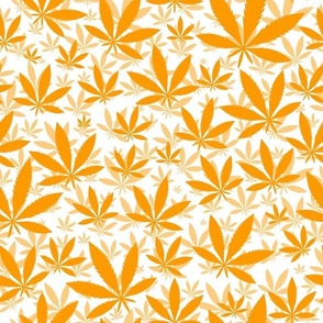 Bigger Scale Marijuana Cannabis Leaves Marigold on White