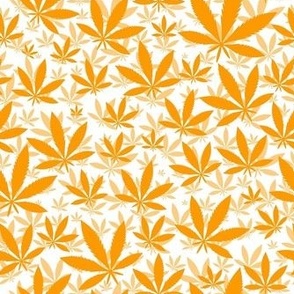 Smaller Scale Marijuana Cannabis Leaves Marigold on White