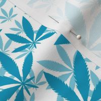 Bigger Scale Marijuana Cannabis Leaves Caribbean Blue on White