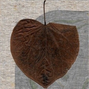 1 Solitary Redbud Leaf in Winter