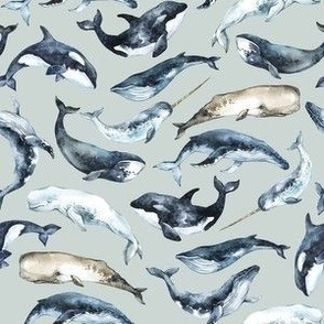Watercolor Whales {on Sea Glass Green Aqua Blue} Coastal Ocean Life, Small Scale 6x6