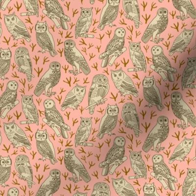 Owls and Bird Tracks on Pink | Small Version | Arts and Crafts Style Pattern with Woodland Creatures