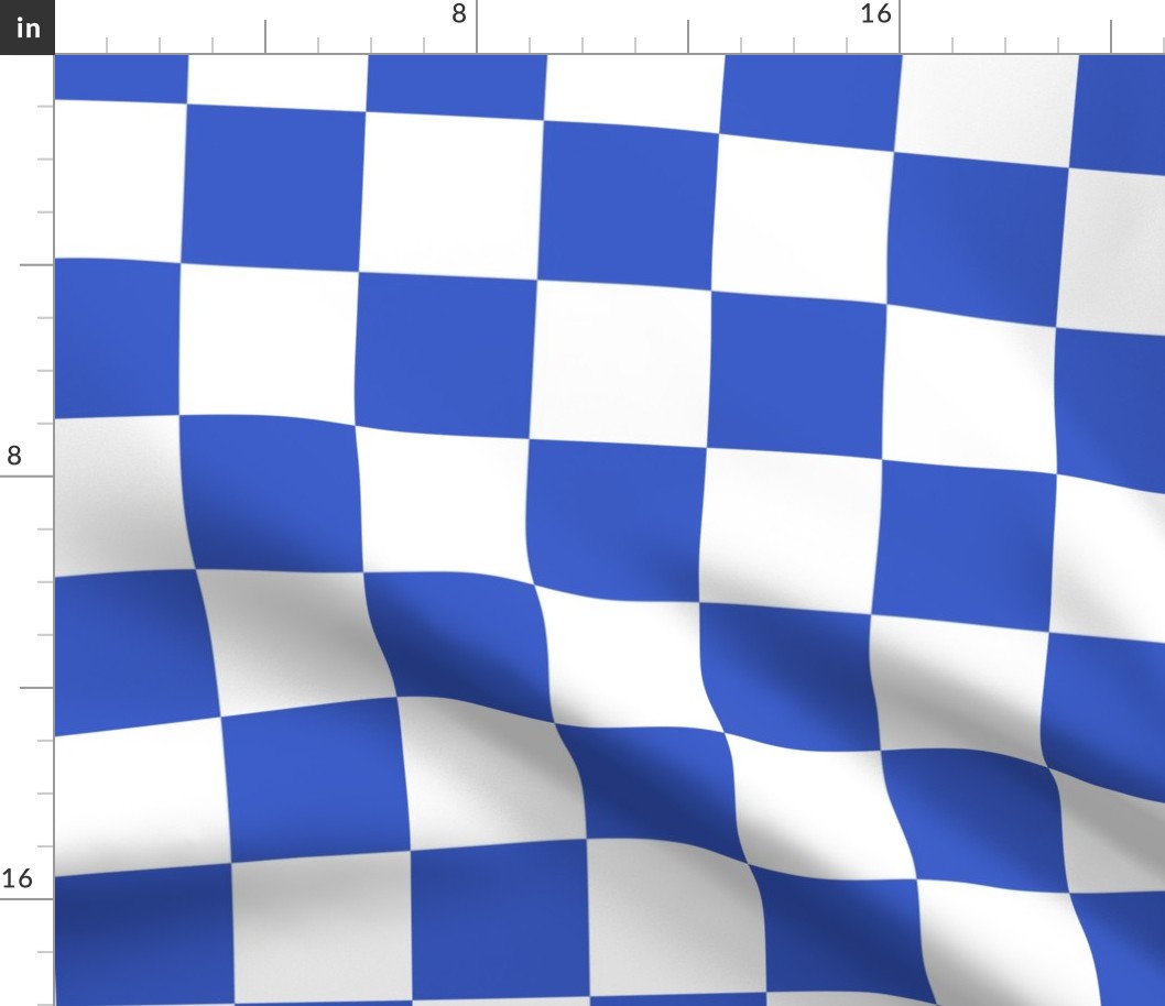 Checks Blue and White