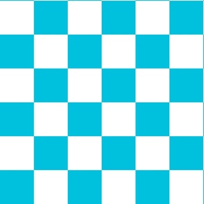 Checks - Turquoise and White - 3” squares