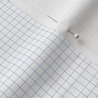 Graph Paper - Plain Blue