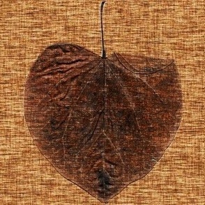 9 Solitary Redbud Leaf in Winter