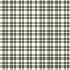 Christmas Delight Heritage Plaid Sage green and cream 9.5x8.2