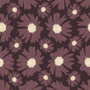 Purple Daisies 