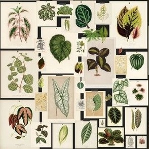 Botanical Prints Decor