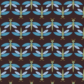 Blue Dragonflies in Two Directions on Dark Brown