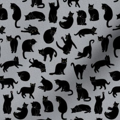 My Cat Pomme - Black directional 6-inch repeat