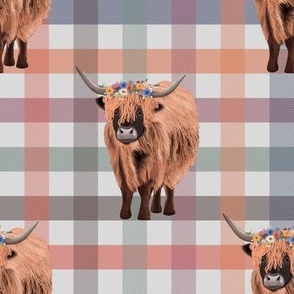 Highland Cow Gingham