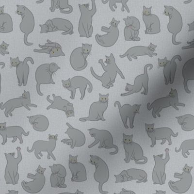 My Cat Pomme - Gray directional 6-inch repeat