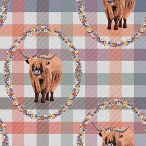 Highland Cow with floral border on Gingham