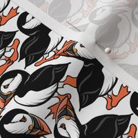 Puffins on Parade - White - Small