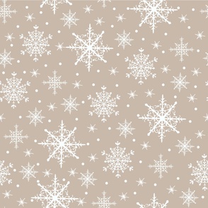 Snowglobe Snowflakes // Wheat