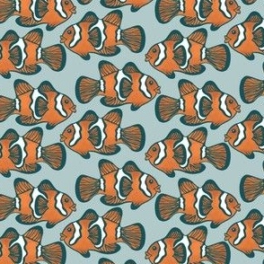 Clown Fish Swimming//Medium
