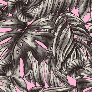 Monochrome tropical leaves on pink