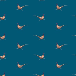 Pheasant Running Game Bird - Teal