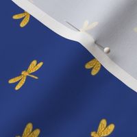 gold dragonfly on cornflower blue 
