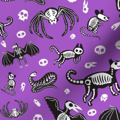 Halloween Skeletons, Cat Skeletons, Dog Skeletons, Bat Skeletons, Spider Skeletons, Halloween Critter Skeletons