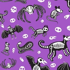 Halloween Skeletons, Cat Skeletons, Dog Skeletons, Bat Skeletons, Spider Skeletons, Halloween Critter Skeletons