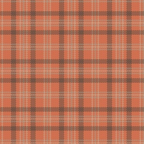 Lodge Retreat Plaid / Medium Scale / Rust / 230404