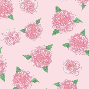 Camellia Pink Flowers Spaced on  Pink
