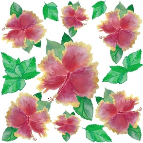 Tequila Sunrise Hibiscus Flower Pattern Pink Green Yellow