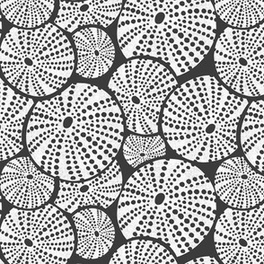 Bed Of Urchins - Nautical Sea Urchins - Charcoal White Textured Regular 