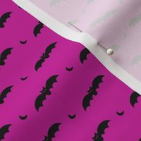 Small Scale Halloween Bats Black on Shocking Pink