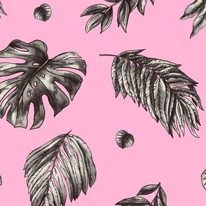 Monochrome tropical leaves and flowers on pink