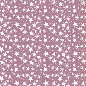 sparkle coordinate on winter berry