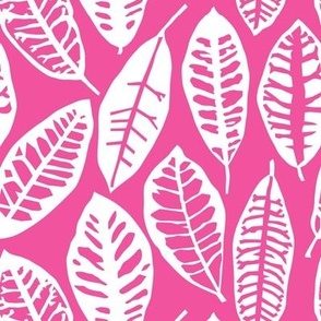 pink croton leaves