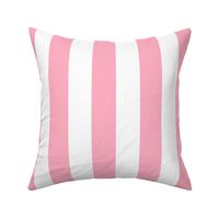 2 inch Wide Vertical Palm Beach Pink and White Cabana Stripes