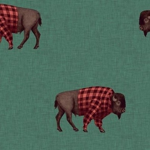 Bison in Buffalo Plaid Shirts