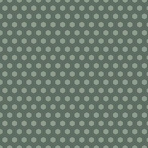 Hexagon Hive Spruce Green