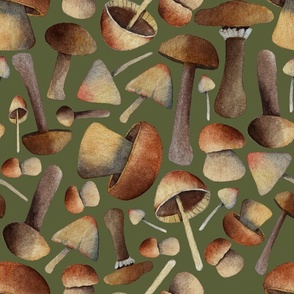 Watercolor Mushrooms on textured green background LARGE (20x20)