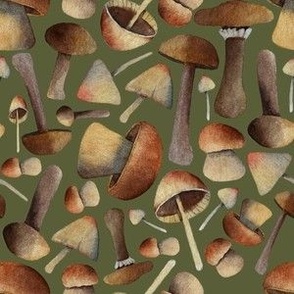 Watercolor Mushrooms on textured green background SMALL (6x6)