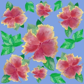 Blue  background Tequila Sunrise Hibiscus Flower Watercolor Painting