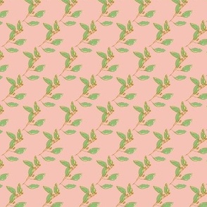Eucalyptus leaves on pink background