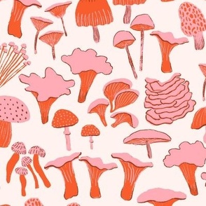 Foraged Mushrooms in Bright Pink and Orange