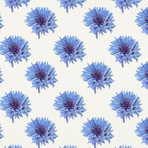 Corn Flowers in Watercolour