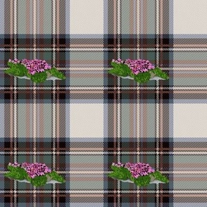 Stewart Tartan with flowers