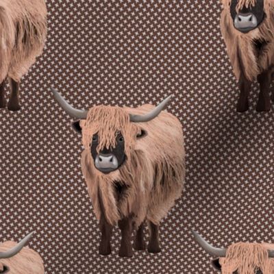 Rustic Highland Cows (brown)