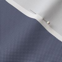 Woven Texture (small) (blue)