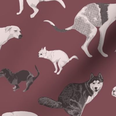 Pooping dogs red wine - sausage dog, great dane, malamute, husky shit, toilet humor