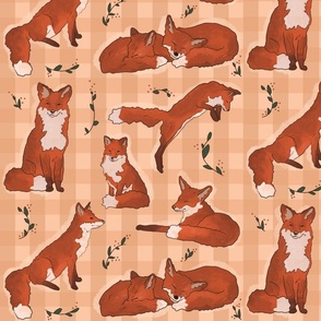 Picnic Foxes